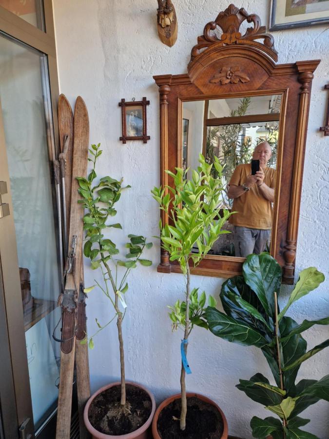 פונס Appartements Pension Sonia מראה חיצוני תמונה